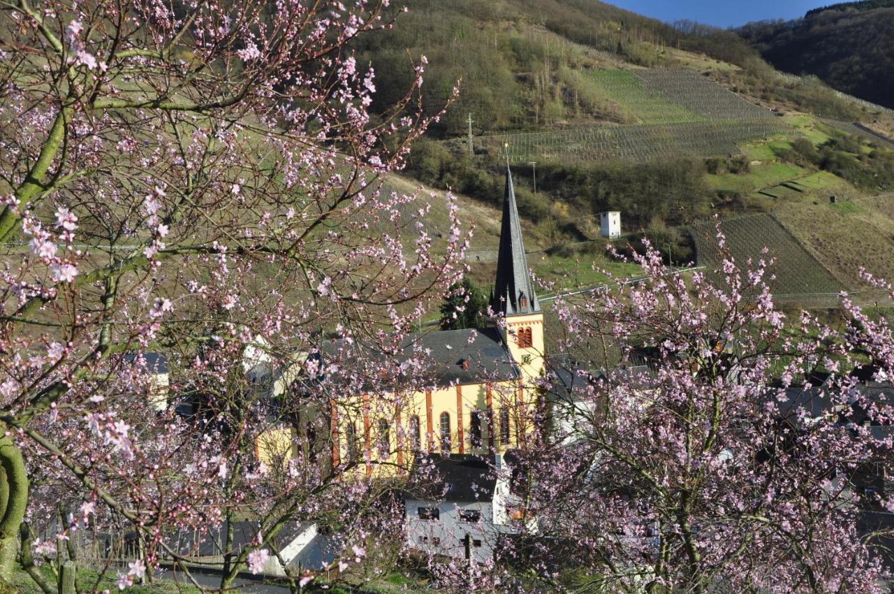 Gaestehaus Sehl Senheim Extérieur photo